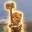HAMCAT