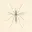 Mosquito