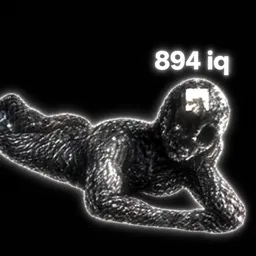 IQ