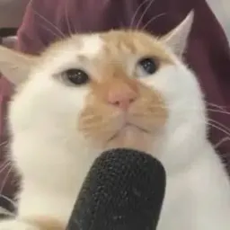 PODCAT