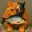 SORACAT