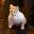 GIGACAT