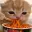 SLURP