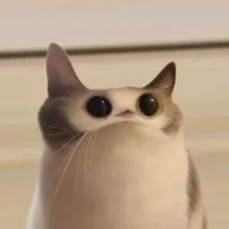 MEEPCAT