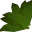 WEED