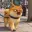 BOGE