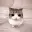 Meowpin
