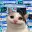url