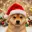 Inumas