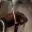 RACKET