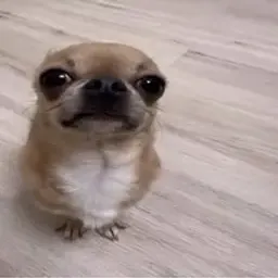 dweeble