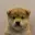 WUF