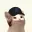 RAYCAT