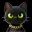 DopeCat