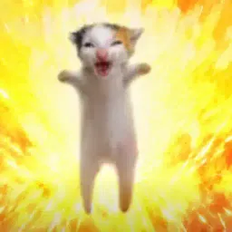 Calico