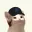 raycat
