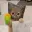 ROBBERCAT
