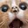 PERPCAT