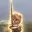 swordcat