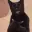 CLAPCAT