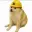 CASHDOG
