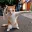 KCAT