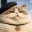 Chaton