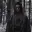SNAPE