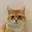 Neko