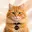 Billi