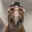 HorseVibe
