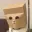 ZCAT
