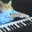 KEYSCAT