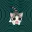 EARNY