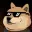 XDOGE