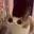 Meepcat