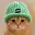 catwifbiddy