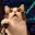 LEVERCAT
