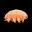 TARDIGRADE