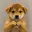 inu