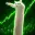 LOOOONGCAT