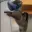 VRCAT