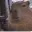 CAPYBARA
