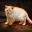 sadcat