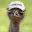 EMU