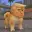 DOMP