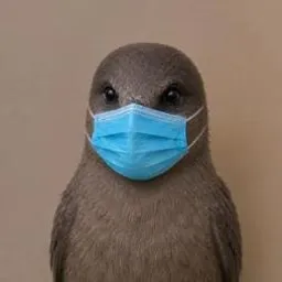 H9N2