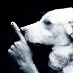 Shh