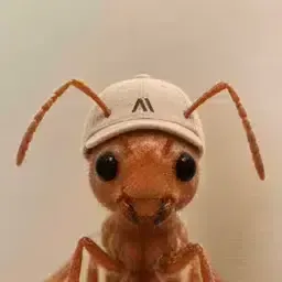 ANT