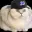 FOMOCAT